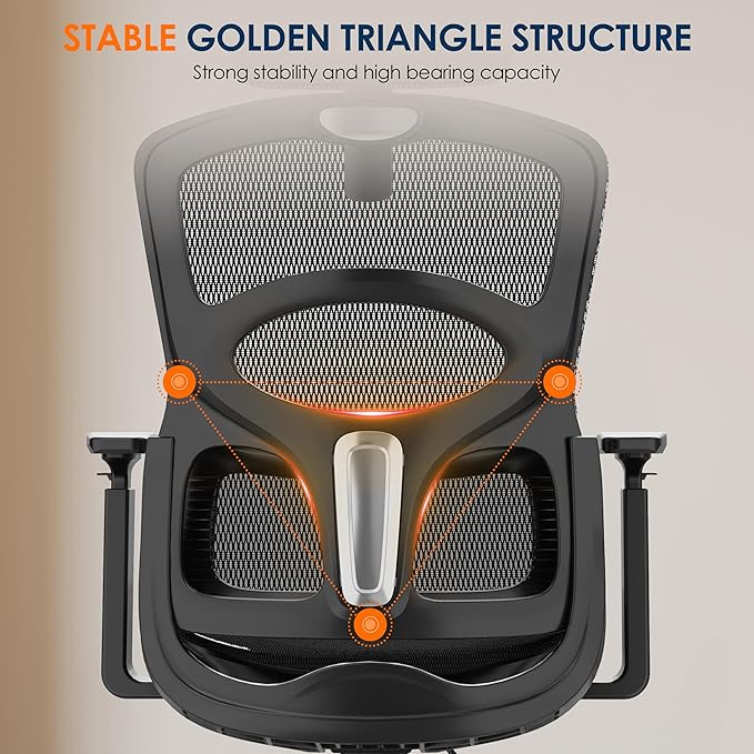 GABRYLLY Ergonomic Office Chair, High-Back Desk Chairs with Adjustable Lumbar Support, Headrest, Tilt Function, Soft Wide Seat and 3D Armrest, 300 LBS Sturdy Home Mesh Chair Task Chairs, GY1070