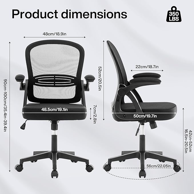 Fizzin Ergonomic Office Desk Chair, Mesh Computer Chair with Adjustable Comfy Flip-up Armrests and Adjustable Lumbar Support, Executive Chairs for Home, Bedroom, Study, Student (Black)