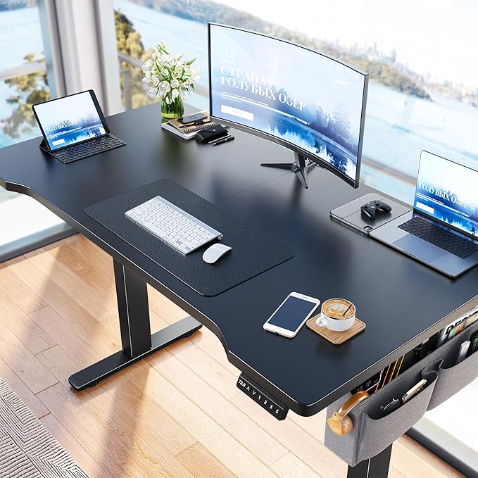 EnHomee 48 Inch Electric Standing Desk, 3 Adjustable Height Stand up Desk for Home Office, Height Adjustable Desks with Detachable Side Mount Pocket, Headphone Hook, Light Strip, Computer Desk, Black