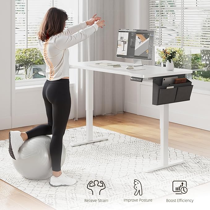 EnHomee 48 x 24 Inches Electric Standing Desk with Light Strip, Stand up Desk with Memory Preset, Height Adjustable Desks for Work Home Office, Computer Desks with Detachable Side Mount Pocket, White