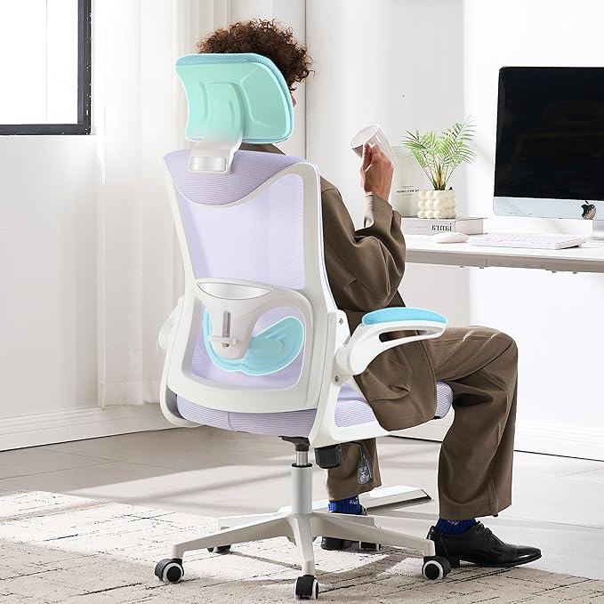Fizzin Ergonomic Office Chair,Ergonomic Desk Chair with Headrest Mesh Computer Chair with High Back Adjustable Lumbar Support, Rolling Swivel Chairs with Wheel Armrests for Home Office (Lavender)