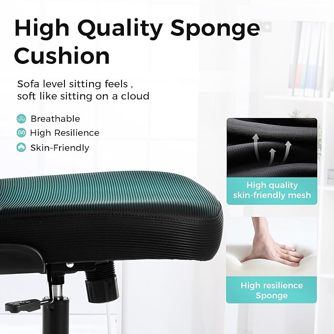 ALPHA HOME Office Chair Ergonomic, Mesh Computer Chair with Lumbar Support Executive Stool with Flip-up Armrest & Padded Cushion, BIFMA & SGS Certified