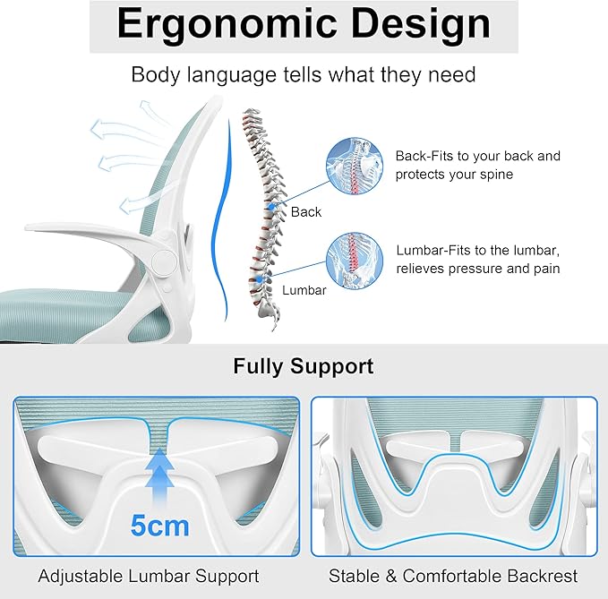 Primy Office Chair Ergonomic Desk Chair with Adjustable Lumbar Support and Height, Swivel Breathable Desk Mesh Computer Chair with Flip up Armrests for Conference Room(Light Blue)
