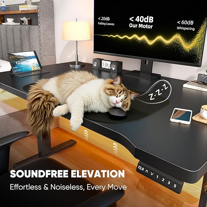 EnHomee 48 Inch Electric Standing Desk, 3 Adjustable Height Stand up Desk for Home Office, Height Adjustable Desks with Detachable Side Mount Pocket, Headphone Hook, Light Strip, Computer Desk, Black