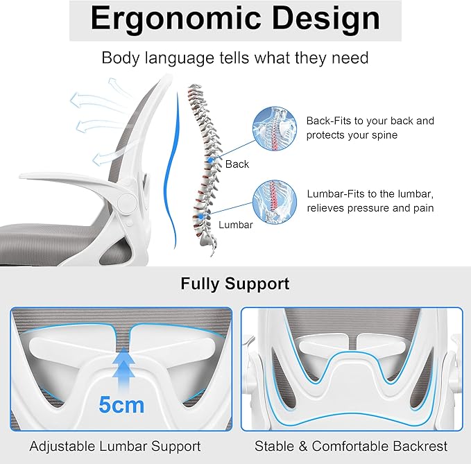 Primy Office Chair Ergonomic Desk Chair with Adjustable Lumbar Support and Height, Swivel Breathable Desk Mesh Computer Chair with Flip up Armrests for Conference Room(Gray)