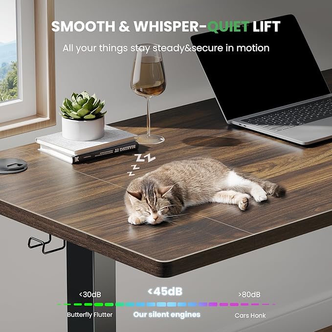 SIAGO Electric Standing Desk Adjustable - 48 x 24 Inch Sit Stand up Desk with Cable Management - 3 Memory Preset Adjustable Height Table