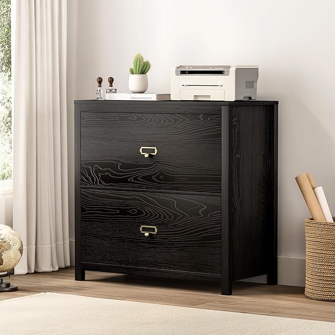 Wood File Cabinet, Modern Large Vertical File Cabinet with 2 Drawers, Adjustable Hanging File Folders, for A4, Legal, Letter Sized Documents for Home Office Black
