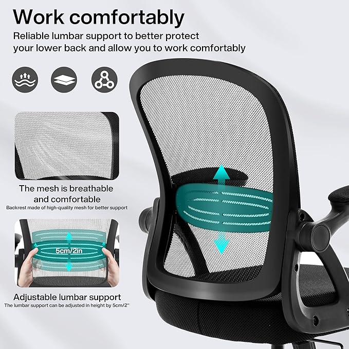 Fizzin Ergonomic Office Desk Chair, Mesh Computer Chair with Adjustable Comfy Flip-up Armrests and Adjustable Lumbar Support, Executive Chairs for Home, Bedroom, Study, Student (Black)