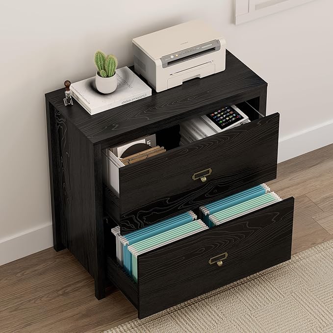 Wood File Cabinet, Modern Large Vertical File Cabinet with 2 Drawers, Adjustable Hanging File Folders, for A4, Legal, Letter Sized Documents for Home Office Black