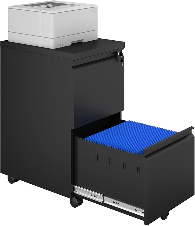 2 Drawer Black File Cabinet with Lock,29" H Small Filing Cabinet for Under Desk,Metal Mobile File Cabinet for Home Office Organizer Letters/Legal/A4(Assembly Required)