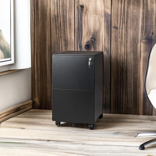 DEVAISE 2-Drawer File Cabinet with Lock, Rolling Metal Filing Cabinet on Wheels for Home Office, Fully Assembled Under Desk Storage Organizer, Black, 17" D x 15" W x 27" H