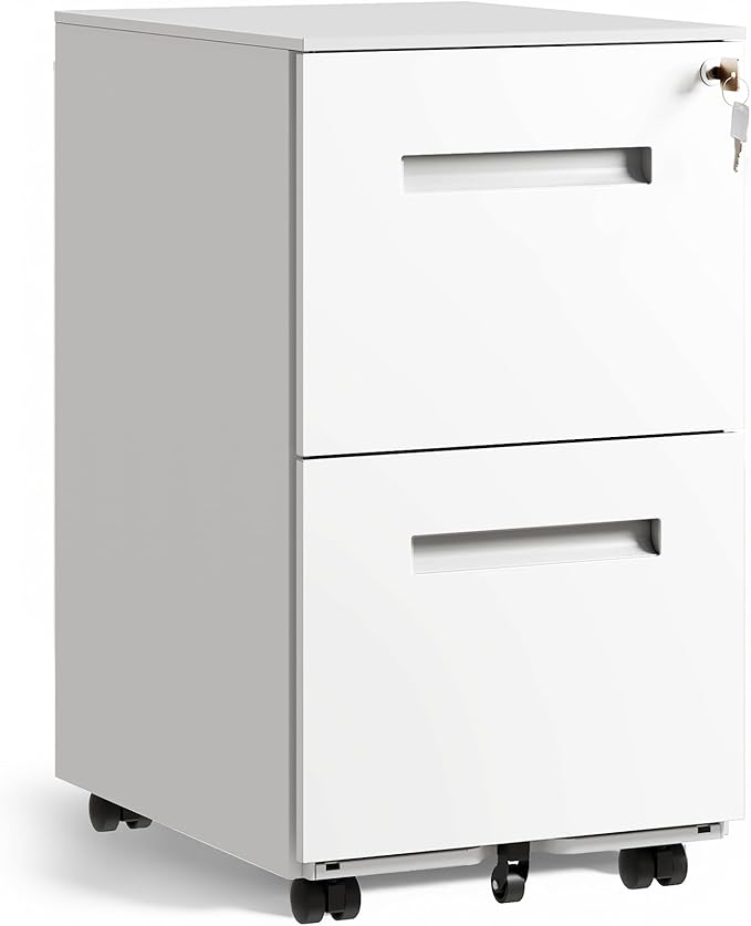 DEVAISE 2-Drawer Metal File Cabinet with Lock, Mobile Filing Cabinet Under Desk for Home Office, Fully Assembled Printer Stand fits F4/A4/Letter/Legal Size, White, 20" D x 15" W x 27" H
