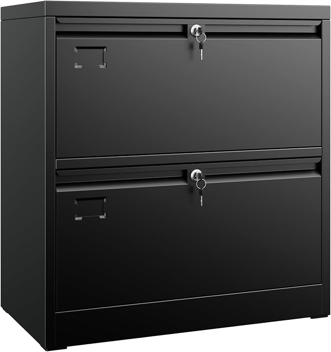 Aobabo 2 Drawer Lateral File Cabinet, Lockable Metal Filing Cabinet with Name Card, Suitable for Home Office School Hanging Files Letter/Legal/F4/A4 Size,Required-Assembly,Black