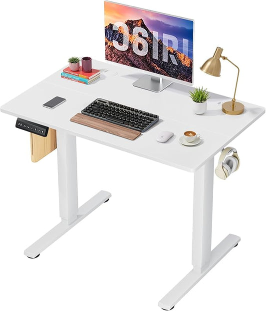 40 x 24 in Electric Standing Desk - Memory Height Adjustable Ergonomic Sit-to-Stand Rising Computer Table Gaming Workstations with 2 Hooks and Wire Hole for Home Office, White