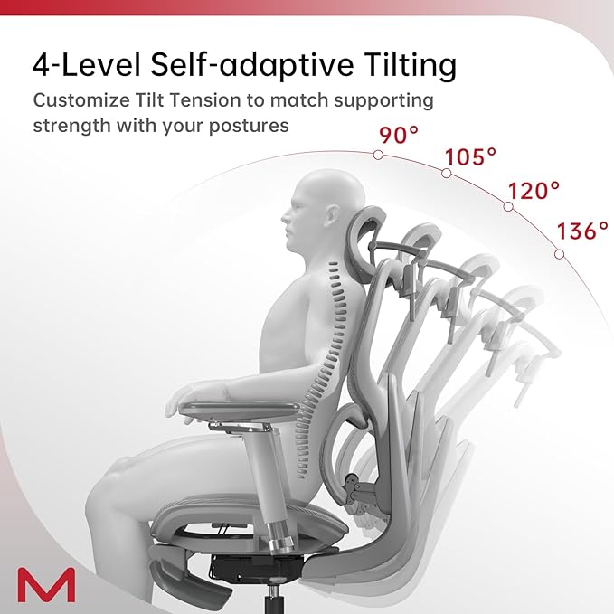 D2 PRO Ergonomic Home Office Chair with Self-Adaptive Lumbar Support,Desk Chair with Multi-Adjustable Armrest,Mesh Office Chair with 3D Headrest and Footrest (Grey)