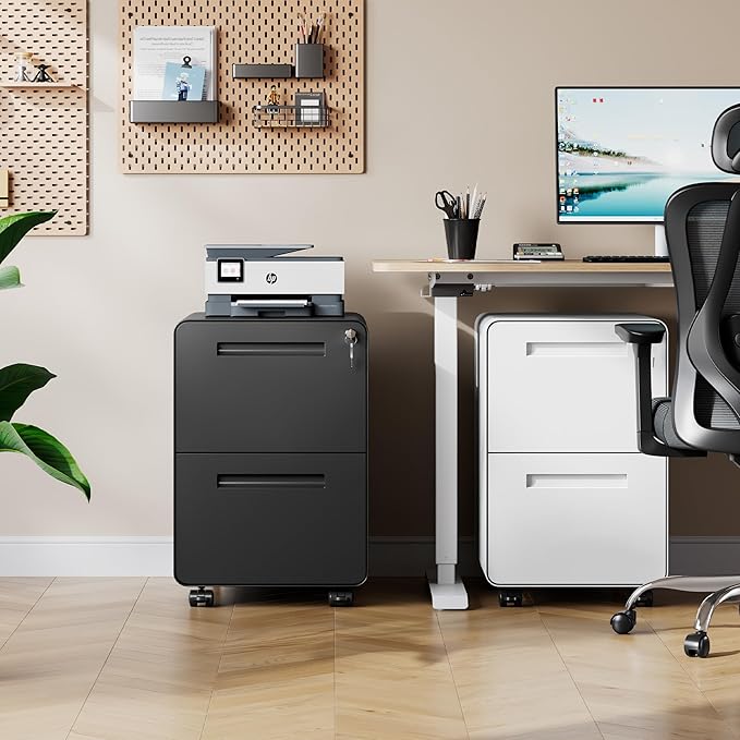 DEVAISE 2-Drawer Rounded Corner Metal File Cabinet with Lock, Mobile Filing Cabinet Under Desk for Home Office, Fully Assembled Printer Stand fits Letter/Legal Size, Black, 20" D x 15.8" W x 25" H