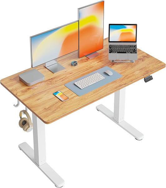 FEZIBO Electric Standing Desk Height Adjustable, 48 x 24 Inches Sit Stand up Desk, Home Office Computer Desk Rising Memory Presets (Light Rustic)