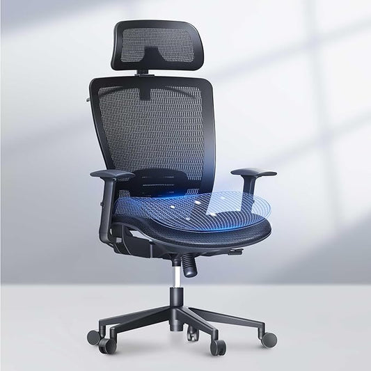 FLEXISPOT OC3 Air Ergonomic Office Chair Mesh Back Swivel Computer Chair Executive Office Desk Chairs with Adjustable Lumbar Support/2D Headrest/Lockable Backrest, Mesh Seat Cushion, Black