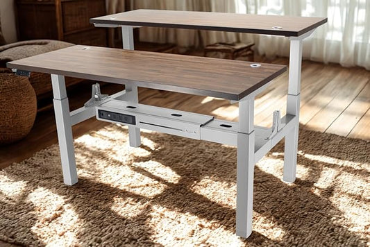 Lift It, 60"x24" Electric Double-Sided, Sit Stand Height Adjustable Ergonomic Office Desk for Office or Home, 4 Memory Digital Control with USB Charging, Walnut Top, Silver Frame