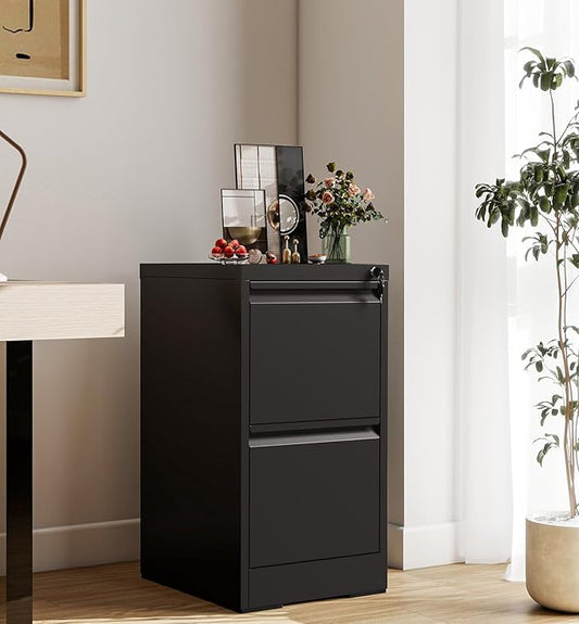 2-Drawer Locking Vertical File Cabinet, Metal Storage Cabinet for Office/Home – Secure Vertical Filing for Letter/Legal/A4/F4 Documents, Easy to Assemble Steel Cabinet, Black (Black, 2 Drawer-28 H)