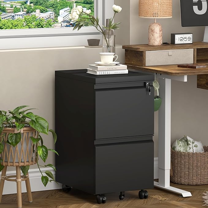 2 Drawer Black File Cabinet with Lock,29" H Small Filing Cabinet for Under Desk,Metal Mobile File Cabinet for Home Office Organizer Letters/Legal/A4(Assembly Required)