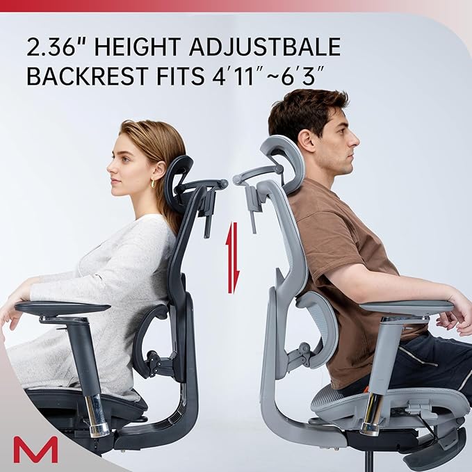 D2 PRO Ergonomic Home Office Chair with Self-Adaptive Lumbar Support,Desk Chair with Multi-Adjustable Armrest,Mesh Office Chair with 3D Headrest and Footrest (Grey)