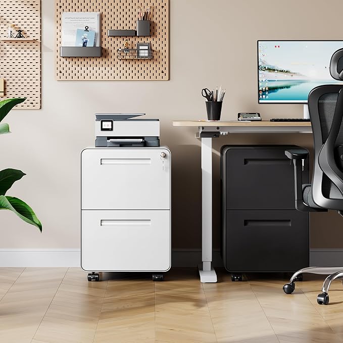 DEVAISE 2-Drawer File Cabinet with Lock, 0.7mm Thick Steel Mobile Filing Cabinet for Home Office, Under Desk Storage Organizer with Rounded Corners, Fully Assembled, 20" D x 15.8" W x 25" H, White