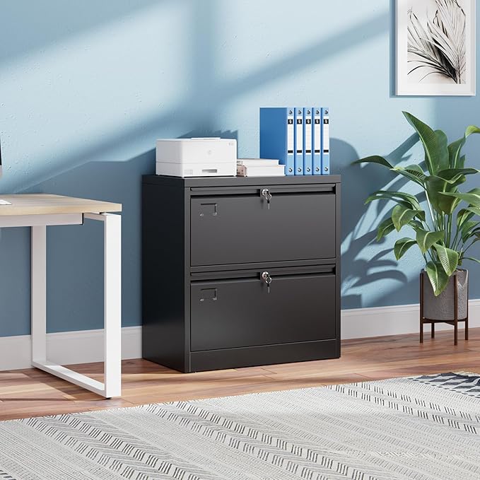 SUXXAN 2 Drawer File Cabinet, Lateral Filing Cabinet with 2 Locks for Home Office, Black File Cabinets with Business Card Holder for Letter/Legal/F4/A4 Hanging Files