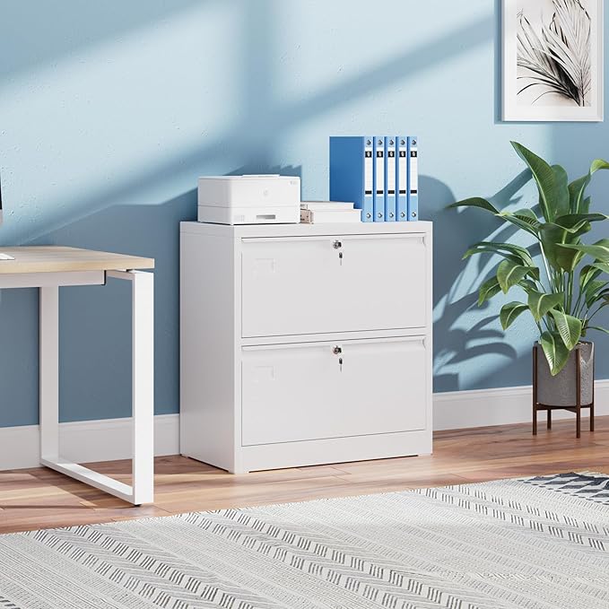 Aobabo 2 Drawer Lateral File Cabinet, Lockable Metal Filing Cabinet with Name Card, Suitable for Home Office School Hanging Files Letter/Legal/F4/A4 Size,Required-Assembly,White