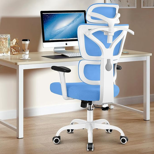 Winrise Office Chair Ergonomic Desk Chair, High Back Gaming Chair, Big and Tall Reclining chair Comfy Home Office Desk Chair Lumbar Support Breathable Mesh Computer Chair Adjustable Armrests(Sky Blue)