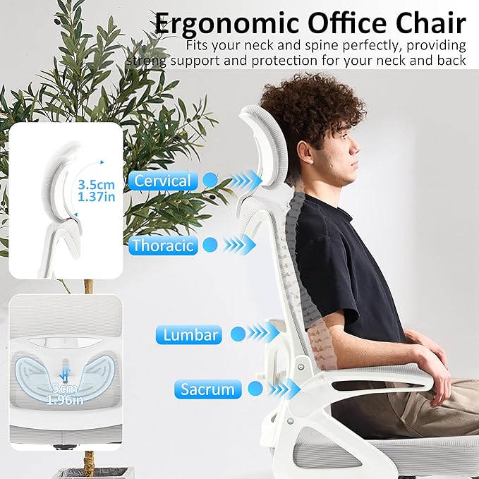 Fizzin Ergonomic Office Chair,Ergonomic Desk Chair with Headrest Mesh Computer Chair with High Back Adjustable Lumbar Support, Rolling Swivel Chairs with Wheel Armrests for Home Office(Gray)