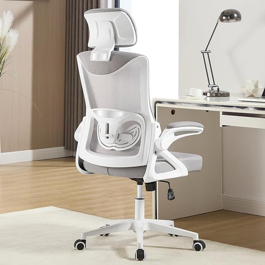 Fizzin Ergonomic Office Chair,Ergonomic Desk Chair with Headrest Mesh Computer Chair with High Back Adjustable Lumbar Support, Rolling Swivel Chairs with Wheel Armrests for Home Office(Gray)