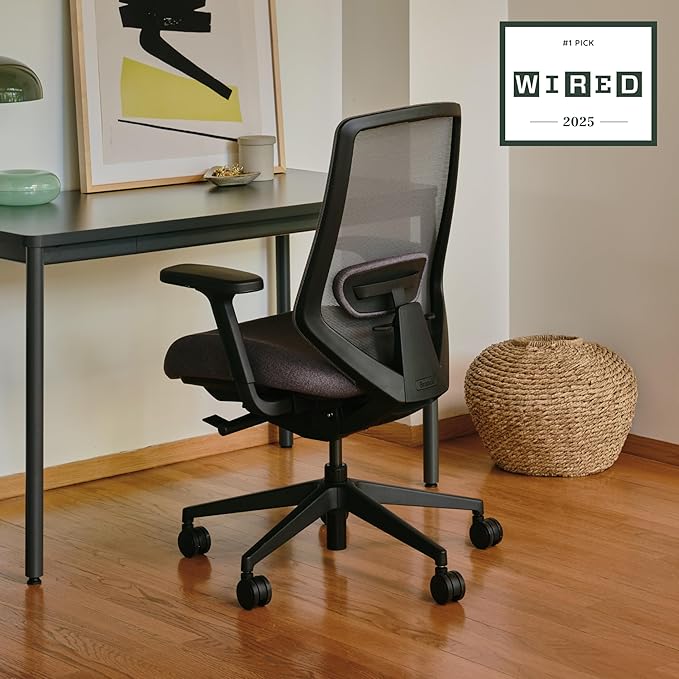 Branch Ergonomic Chair Pro - Mesh Office Chair with 14 Points of Adjustment - Height, Depth & Tilt Adjustable - 5D Armrests - Forward Tilt, Smooth Recline, and Lumbar Support - Black