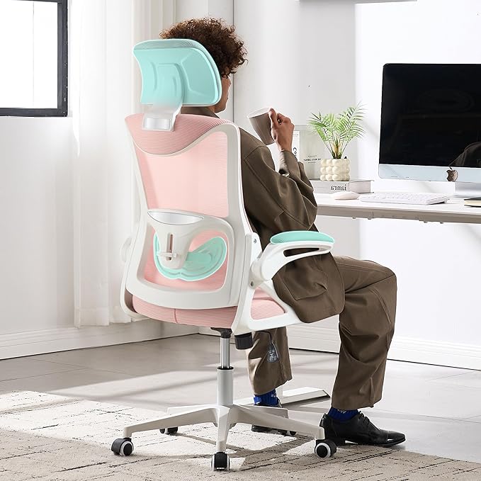 Fizzin Ergonomic Office Chair,Ergonomic Desk Chair with Headrest Mesh Computer Chair with High Back Adjustable Lumbar Support, Rolling Swivel Chairs with Wheel Armrests for Home Office(Pink)