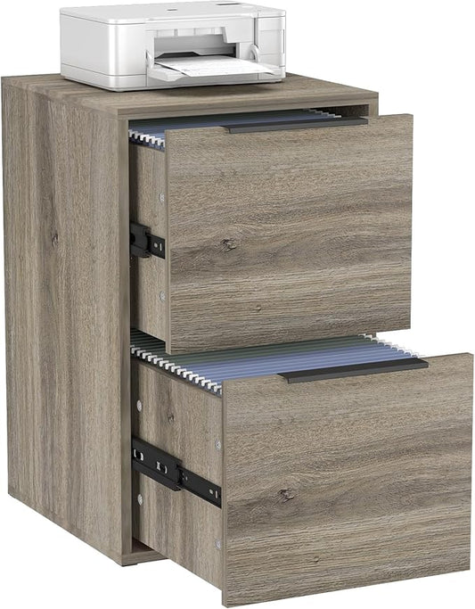 LUCYPAL 2 Drawer File Cabinet,Vertical File Cabinets for Home Office,Wood File Cabinets with Hanging Bar for Letter Size,Oak