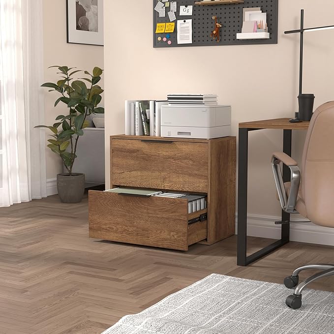 LUCYPAL 2 Drawer Lateral File Cabinet,Lateral Filing Cabinets for Home Office,Wood Filing Cabinet for Letter Size Files,Brown 27.56" W x 14.57" D x 24.02" H