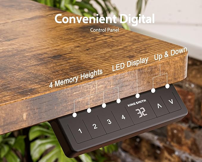 63x24 Inches Electric Standing Desk with Drawer and Monitor Stand, Height Adjustable Sit to Stand up Desk for Home Office, Ergonomic Computer Table with Phone Holder, 3 Hooks, Oak