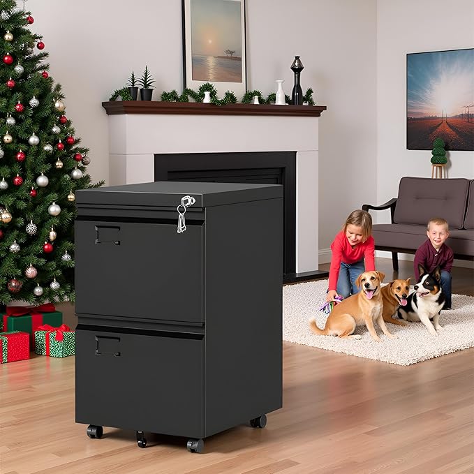 SUXXAN 2 Drawer File Cabinet with Wheels, Under Desk Drawer with Lock Name Card Holder for Home Office, Metal Filing Cabinet for Legal/Letter Size, Assembly Required