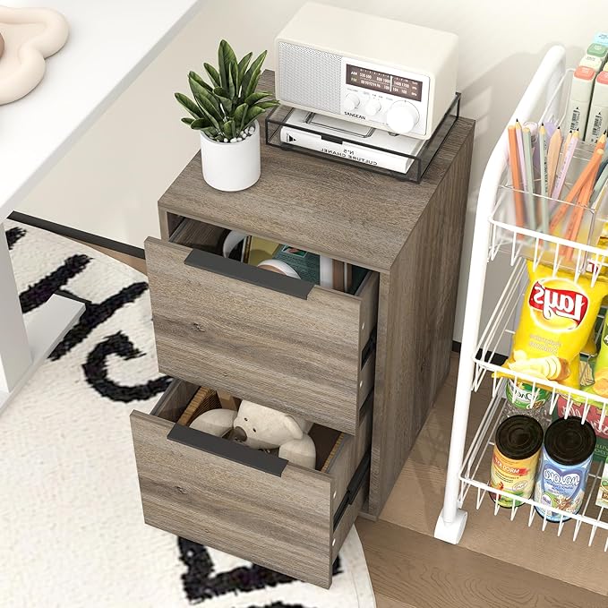 LUCYPAL 2 Drawer File Cabinet,Vertical File Cabinets for Home Office,Wood File Cabinets with Hanging Bar for Letter Size,Oak