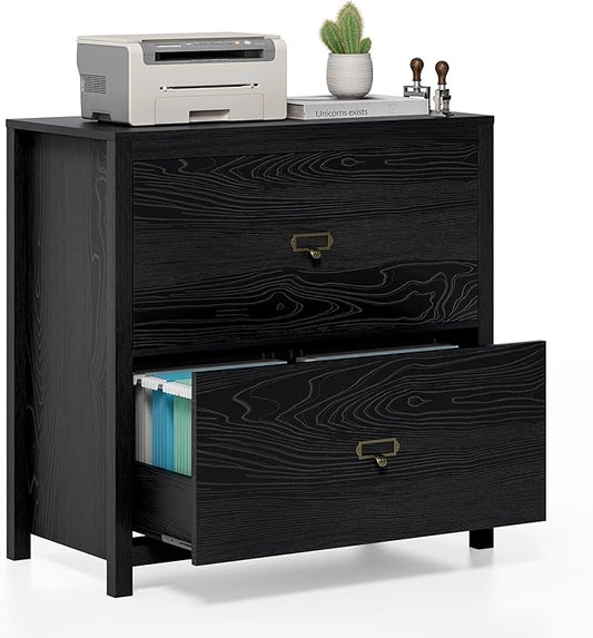 Wood File Cabinet, Modern Large Vertical File Cabinet with 2 Drawers, Adjustable Hanging File Folders, for A4, Legal, Letter Sized Documents for Home Office Black