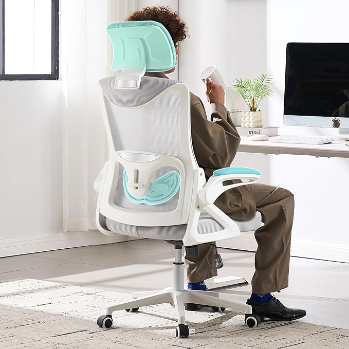 Fizzin Ergonomic Office Chair,Ergonomic Desk Chair with Headrest Mesh Computer Chair with High Back Adjustable Lumbar Support, Rolling Swivel Chairs with Wheel Armrests for Home Office(Gray)