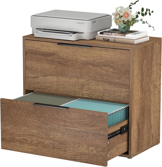 LUCYPAL 2 Drawer Lateral File Cabinet,Lateral Filing Cabinets for Home Office,Wood Filing Cabinet for Letter Size Files,Brown 27.56" W x 14.57" D x 24.02" H