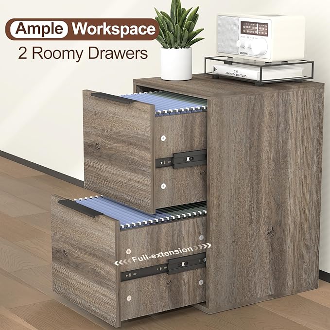 LUCYPAL 2 Drawer File Cabinet,Vertical File Cabinets for Home Office,Wood File Cabinets with Hanging Bar for Letter Size,Oak